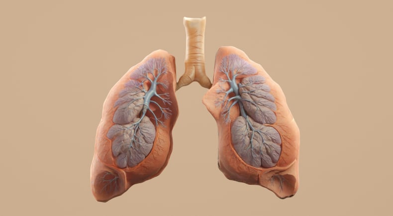 Pulmonology