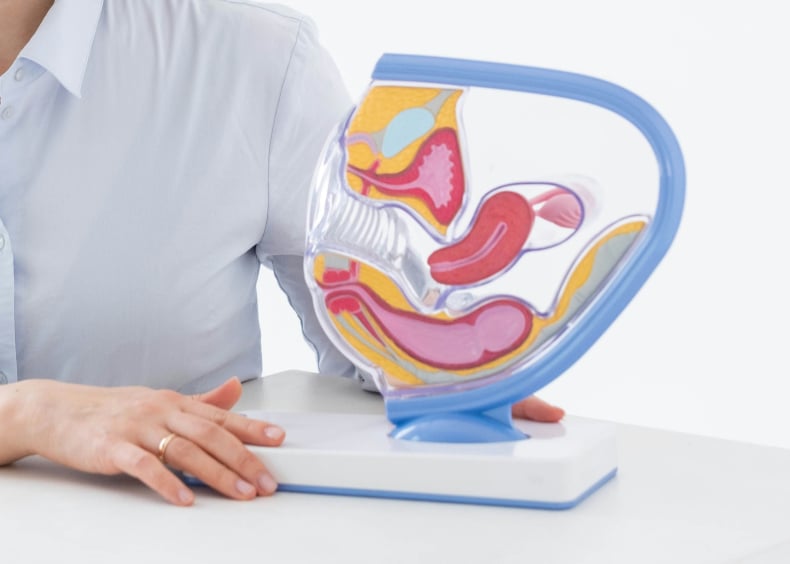 Urology