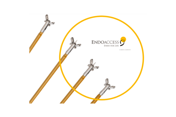 endoscopy